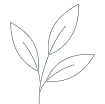 sanilu-logo-2